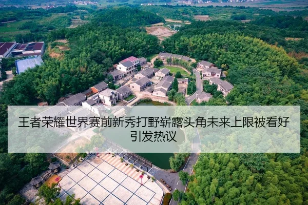 王者荣耀世界赛前新秀打野崭露头角未来上限被看好引发热议